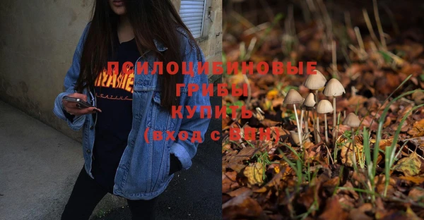 мяу мяу мука Арсеньев